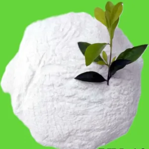 BỘT CANXI CARBONATE VN-10